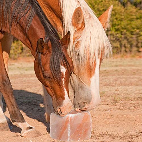 Milliard 6 lb Himalayan Animal Salt Lick for Horses, Deer, and