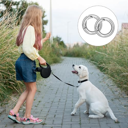 Bewudy 16 Stück Runde Karabiner 20mm, Metall Karabinerhaken Frühling O Ringe, Legierung Federverschluss Rund Schlüsselanhänger Ringe für Schlüsselbund Handwerk DIY Anhänger Taschenzubehör(Silber)