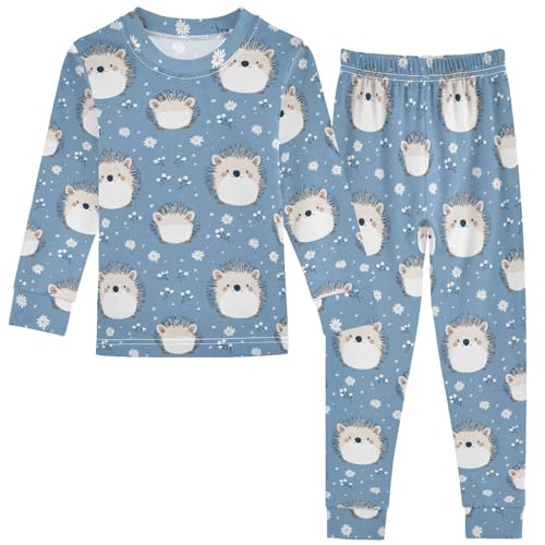 Pigsaly Pajama Set 2 Piece Cute Cartoon Hedgehogs Pajama Sets Long Sleeve Pjs Sleepwear 6Y