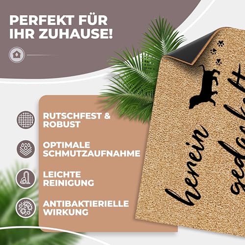ElbFuchs Fußmatte Kokos 60x40cm Hereingedackelte I Extra langlebige & rutschfeste Kokosmatte für Innen & Überdachte Außenbereiche I Lustige Türmatte mit Dackel Motiv I Ideal als Schmutzfang