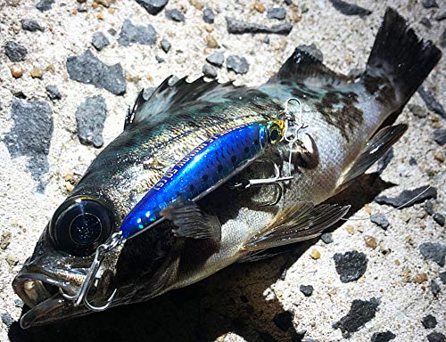 DUEL(デュエル) HARDCORE(ハードコア) ルアー シンキングミノー ハードコア LG ミノー (S) 50mm Weight:3g F1199-LSOA-グローヘッドオキアミ ライトゲーム 6枚目