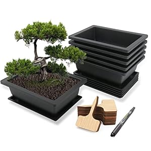 MissFox Bonsai schaal met onderzetter, 6 stuks bonsai-trainingpotten van kunststof, bloempot rechthoekig met dienblad, potplanten, plantenpot voor tuin, bonsai-pot met plantenbordjes en pen