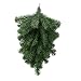 Northlight Colorado Spruce Artificial Christmas Teardrop Swag, Green