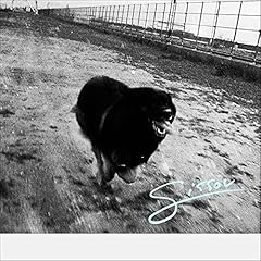 SISSOU / Yogee New Waves
