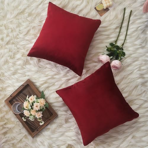 Velvet Cushion Covers Pack of 2 Decorative Covers Square & Rectangle Throw Pillow Cases Sofa Bedroom Couch Living Room Invisible Zipper 43 x 43 cm and 30 x 51 cm (43 x 43 cm (Square), Wine Red)
