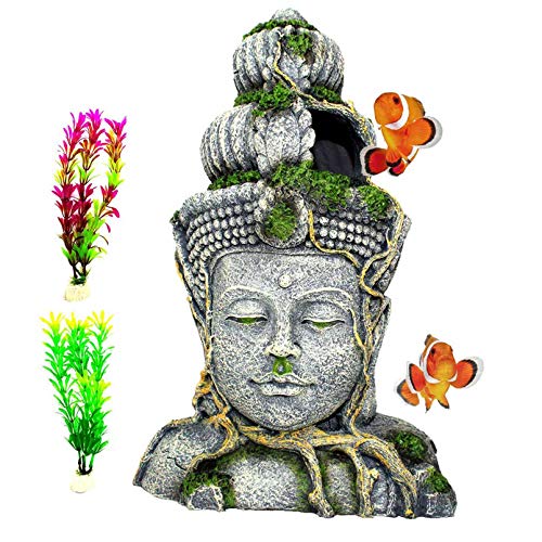 Fish Tank Buddha Buy at