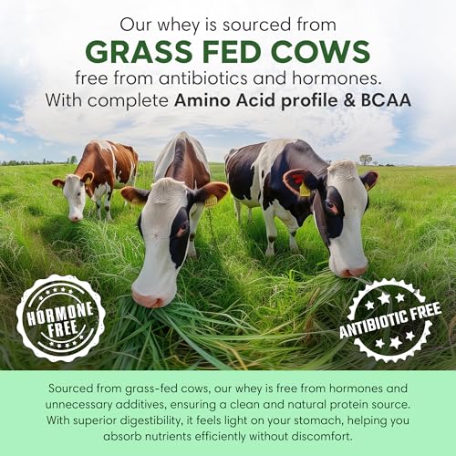 Image of Foodstrong Whey Protein Powder (Concentrate + Isolate), 100% Hormone Free Grass-Fed Whey, 26G Protein & 6.6G BCAA, Mango, With Turmeric & Digestive Enzymes, 35G