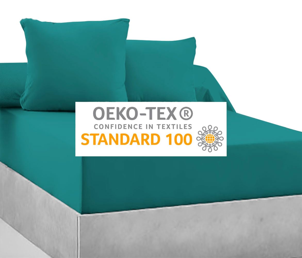 View 5