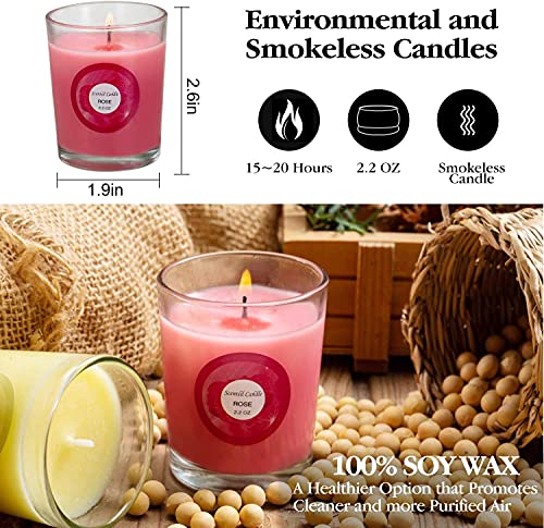 Dalang Scented Candles, Anxiety Reducer Jasmine, Rose, Vanilla, Bergamot, Fig, Lavender, Lemon, Spring,Strawberry, Rosemary, Aromatherapy Organic Massage Candles - 20 Pack #TOP2
