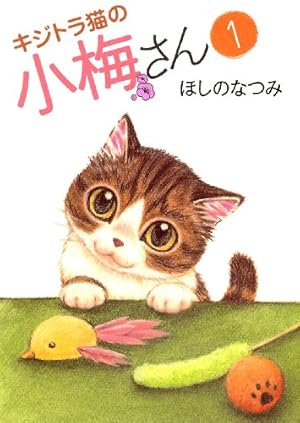 キジトラ猫の小梅さん（1） (ねこぱんちコミックス) | ほしのなつみ
