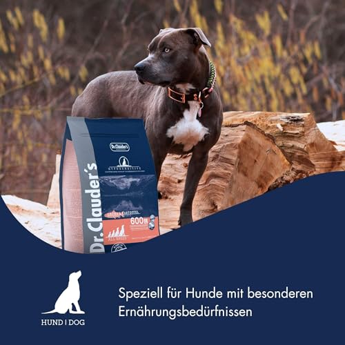 DR.CLAUDER'S - Hyposensitive | Trockenfutter mit Singleprotein für Sensible, ausgewachsene Hunde. Getreide- und glutenfreies Alleinfuttermittel im Beutel | 350g Lachs&Kartoffel