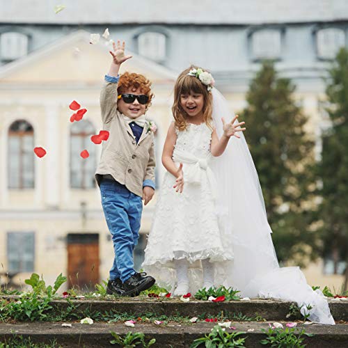 Set da 5 Cannoni Spara-Coriandoli, Petali di Rosa