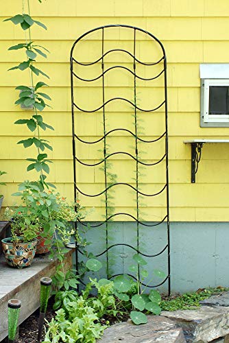 Treillis Achla Designs FT-16E Waves Extension pour jardin et plantes - 5