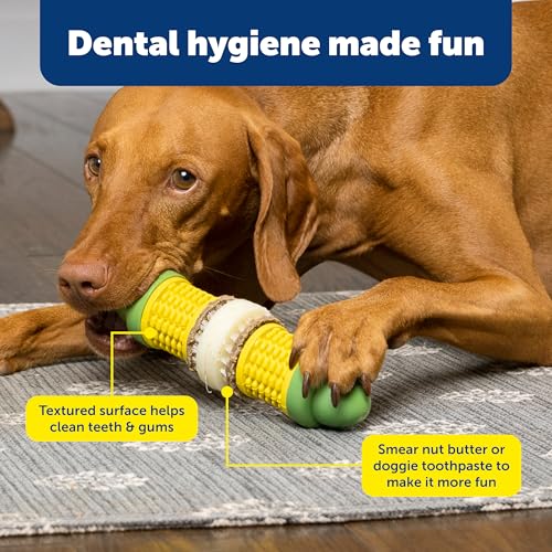 PetSafe Busy Buddy Cravin Corncob Dog Toys Treat Ring Holding Chew Toy BPA Free Rubber Butter Scented Interactive Pet Puzzle for Boredom or Separation Anxiety Small to Large Dogs by PetSafe - Image 4
