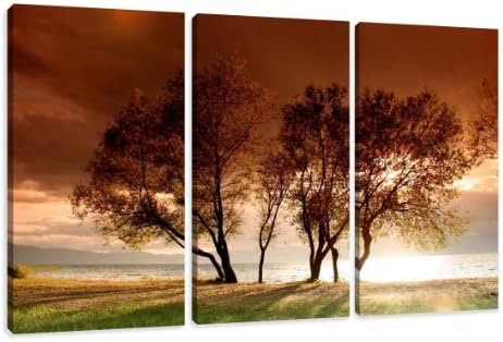 160 x 80 cm canvas print boom bos groen 5507-VKF - klaar om op te hangen aan de muur