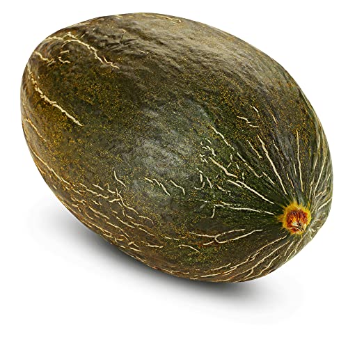 Melon Seeds - Tendral Verde Tardif - 5 Lb ~96000 Seeds - Cucumis melo - Non-GMO, Heirloom - Fruit Gardening