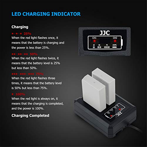 BLS-5 BLS-1 BLS-50 - Cargador de batería doble USB para Olympus E-M10 Mark II III IV E-M10 E-PL9 E-PL8 E-PL7 E-PL6 E-PL5 E-PL3 E-PL2 E-PL1s E-PL1 E-P3 E-P2 E-P1 E-PM2 E-PM1 - imagen 5