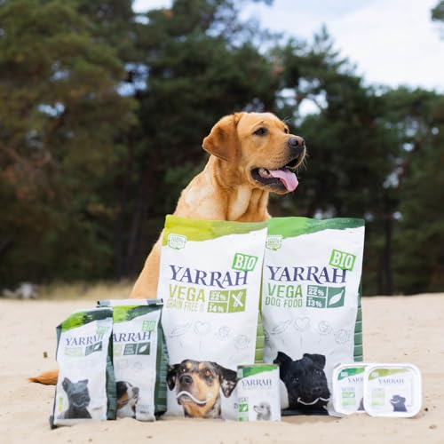 YARRAH Vega Vegetarisches Bio-Trockenfutter für Hunde – für alle Rassen und Altersgruppen | Exquisite Biologische Hundebrocken, 10kg | 100% biologisch & frei von künstlichen Zusätzen