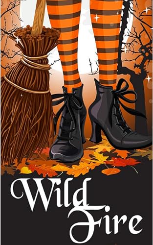 Stadtkrimis Exit Escape Stadtführung Witch Myth Wild Fire (Ein gemütlicher Hexenkrimi 2)