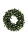 12" boxwood wreath