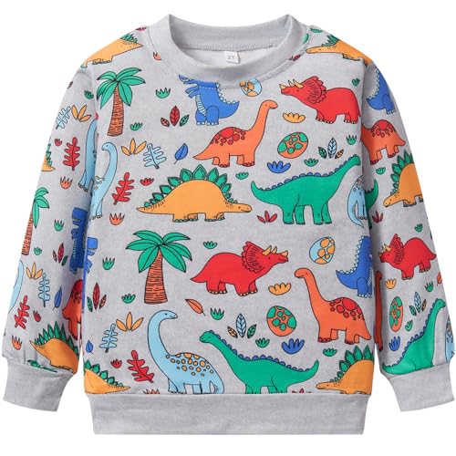 Boys Cotton Sweatshirts Crewneck Long Sleeve Pullover Toddler