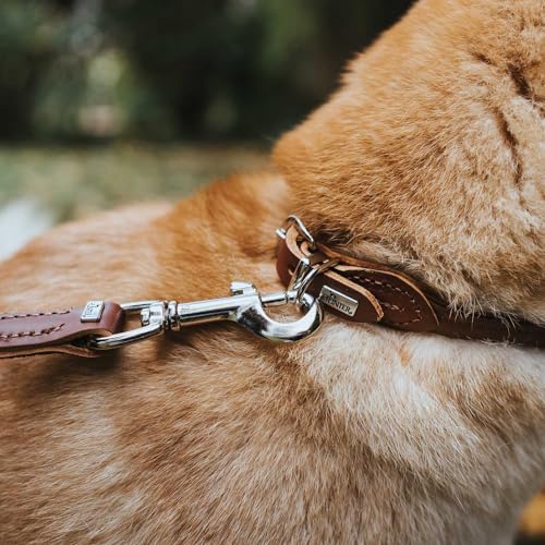 HUNTER Hundehalsband ROUND & SOFT, Farbe: braun, weiches Rindnappaleder, reißfeste Nyloneinlage, fellschonend & rundgenäht, Größe: 35