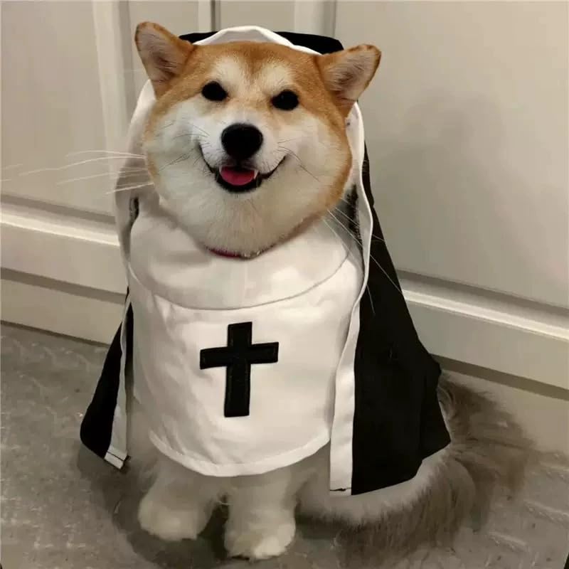 Halloween Katzen Hunde Haustierkostüme,Lustiges Cosplay Sister Habit Umhang Kostüm,für Katzen und Kleine Hunde Halloween Christmas Festival Cosplay Party Haustiere Kleidung (M)