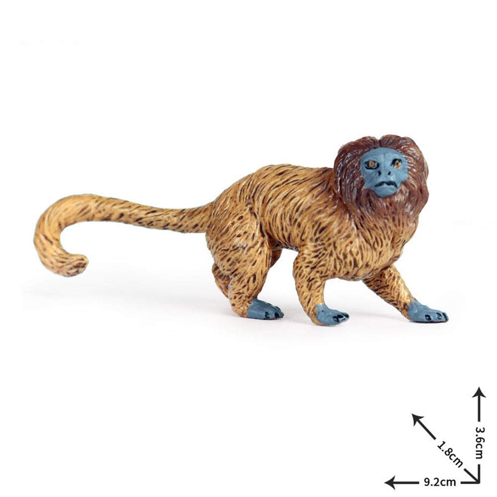 Amazon.com: Flormoon Realistic Animal Figures Golden Lion Tamarin