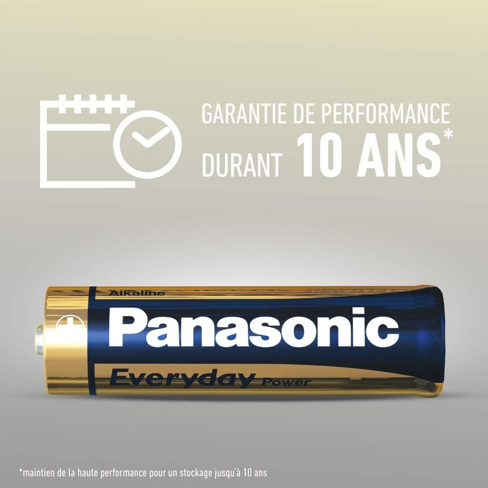 PANASONIC Set di 4 confezioni da 20 batterie alcaline Everyday Power Silver AA-LR6 1,5 V