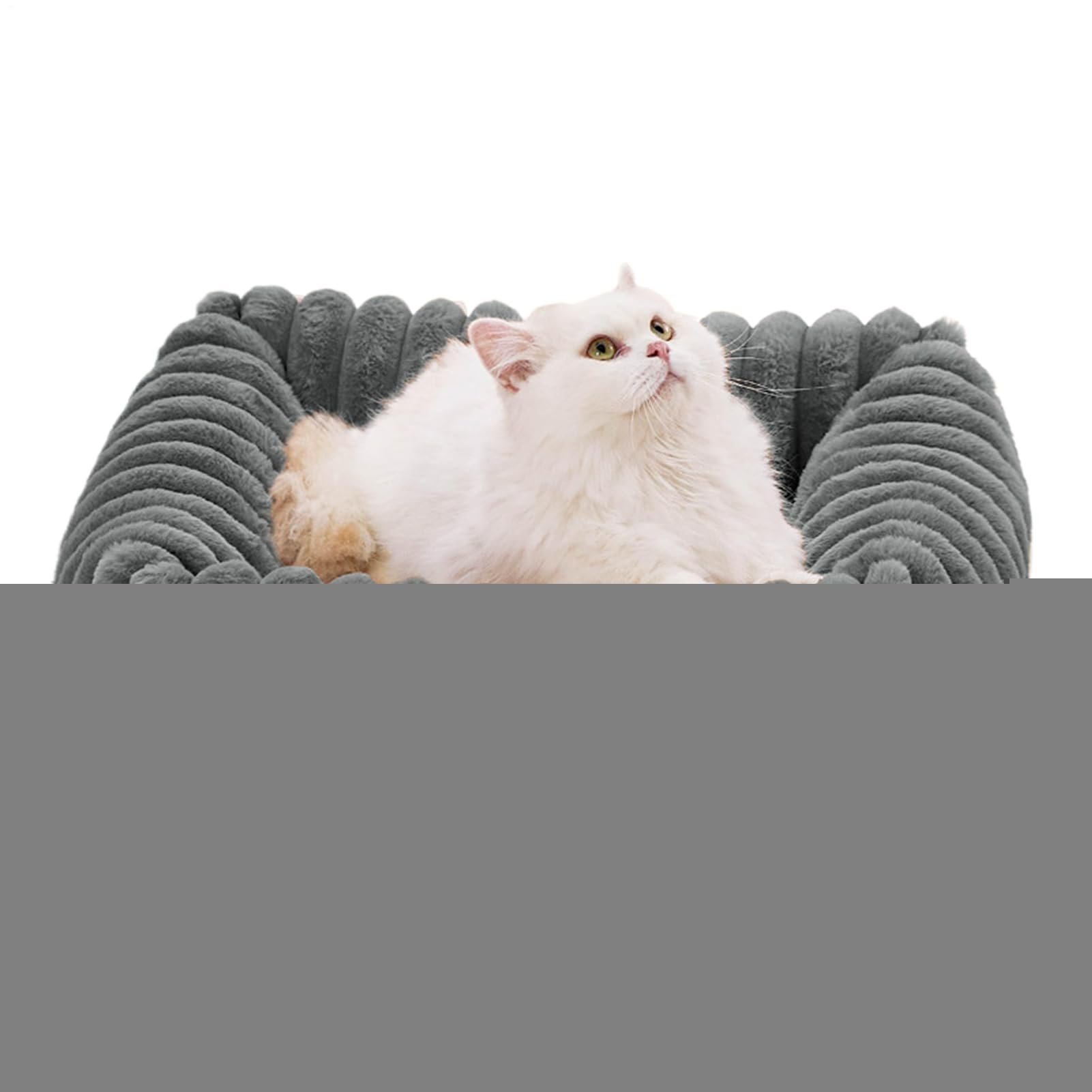 Cama Lavable Para Gatos Sofá Mascotas Almohadilla Suave Confortable | Suave Cálida Cama para Cachorros Casas De Mascotas, Patio, Hogar, Apartamento, Salón, Dormitorio, Oficina, Viajes, Exterior