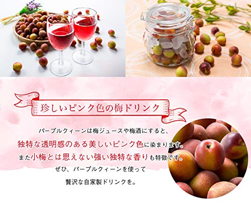 Amazon.co.jp: 梅 パープルクイーン 秀品 Lサイズ 約1kg 和歌山県産