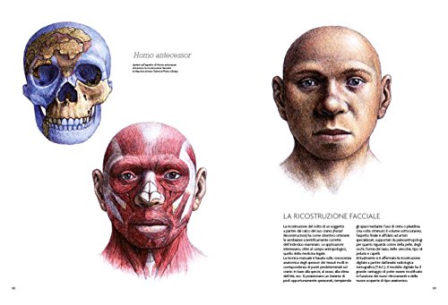 Homo sapiens. le nuove storie dell'evoluzione