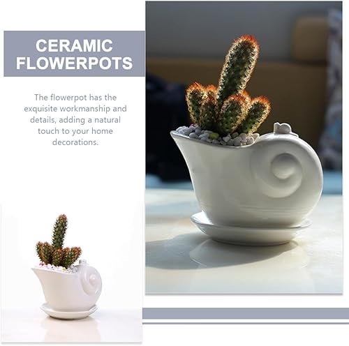 Miniatura 7 de Happyyami Maceta de caracol de cerámica para suculentas, lindo soporte para bolígrafos de animales, maceta de cactus para plantas, soporte para