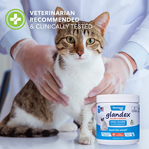 image for Vetnique Labs Glandex Feline Anal Gland Fiber Supplement Powder for Ca