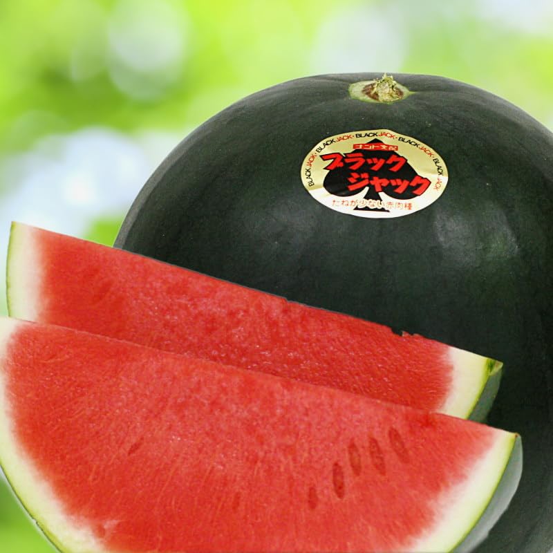 Amazon.co.jp: 山形県産 種なし黒皮すいか ブラックジャック 中玉（約