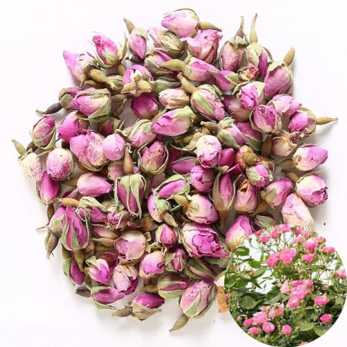 TooGet Pink Rose Buds