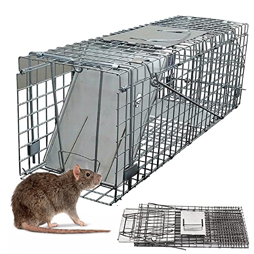Piège à rats vivants réutilisables - Piège à souris humain - Pas de tuer, attraper et relâcher en direct - Sans danger pour les animaux domestiques et les enfants - Pour la cuisine et le jardin