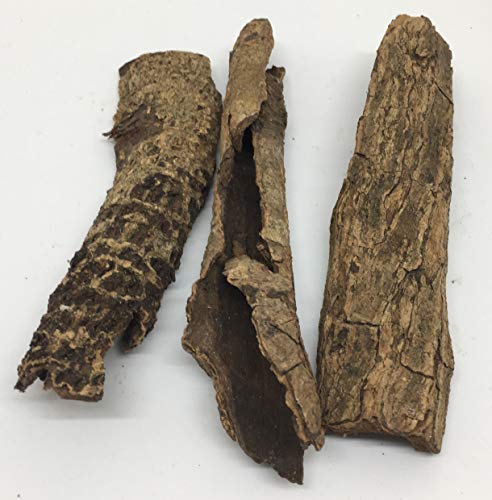 Image of Awesome Aquatic Catappa Indian Almond Bark Rolls & Pieces, 50 g | Natural Catappa Indian almond bark for bettas, shrimp & fish. Releases tannins for blackwater aquariums and habitats.