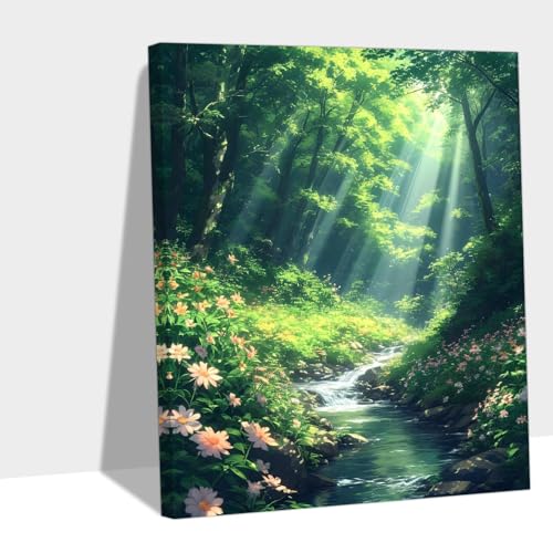 G 2025 Paint by Numbers AlSҊȒP| DIY Lbgz[ ItBXv[g 40x50cm Y#B172