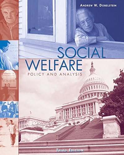 Social Welfare: Policy and Analysis (Social Welfare...