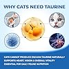 Kittysupps Taurine Powder for Cats, Kitty Supps Taurine Supplement, Grade Amino Acid Supplement for Heart, Vision & Daily Wellness, 200 Grams (1pcs) #2