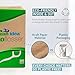 Clean Idea EcoFlossers 300ct, Eco Friendly Flossers for Adults & Kids, Everyday Dental Floss Picks, Easy on Gums Floss Picks for Teeth, Tooth Flossers