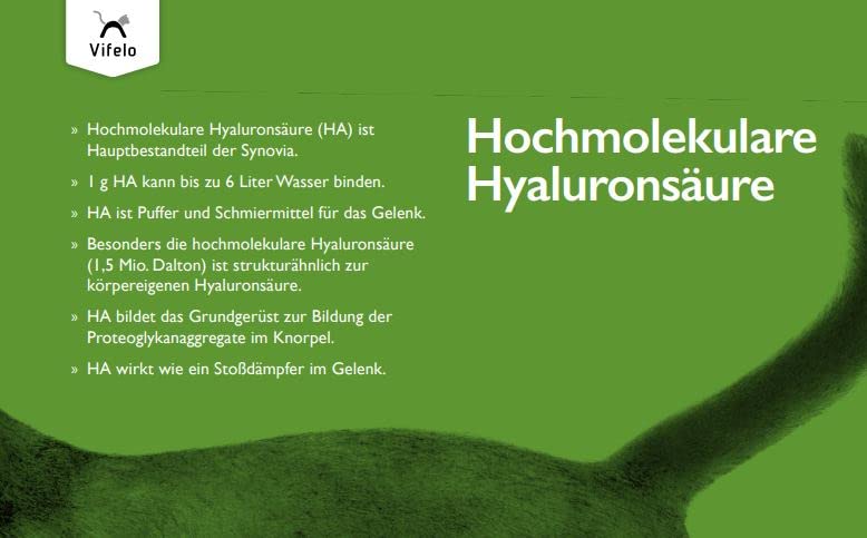 VetVital Vifelo OrthoHyl Miekaus | 60 Tabs | Ergänzungsfuttermittel für Katzen | Mit Hyaluronsäure