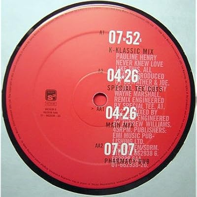Pauline Henry Featuring Wayne Marshall : Never Knew Love Like This 12"