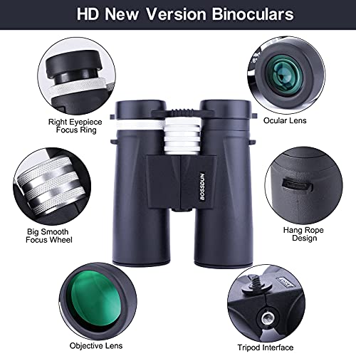 Ferngläser für Erwachsene, 10x42 Kompakte Jagd-Ferngläser Großes Okular-Fernglas für Vogel, die Jagd-Outdoor-Sportarten… – Bild 4