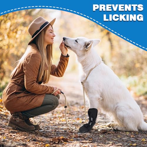 Hmcey Scarpe Per Cani,Scarpette Protezione Zampe Cane Antiscivolo,Stivali Per Cani Impermeabili,Calze Di Protezione Per Cane Regolabili Per Animali Domestici Di Piccola, Media E Grande Taglia - L - 6