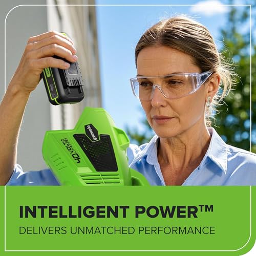 Image of Greenworks 40V 2.5Ah Lithium-Ion High-Power Battery(Genuine Greenworks Battery / 75+ Compatible Tools)