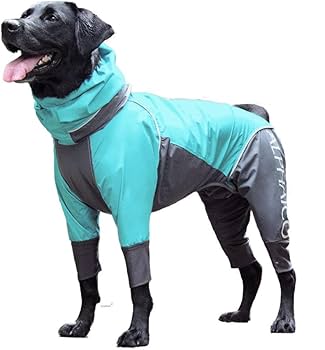 Amazon | レインドッグガード (2020年秋冬モデル)(ミント,S