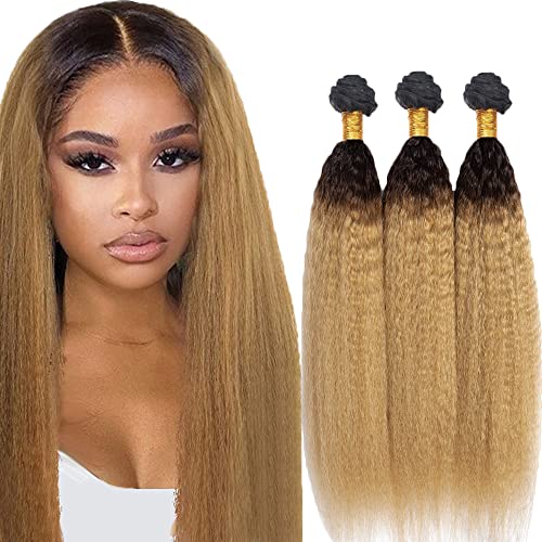1B/27 Bundles Human Hair Brazilian Ombre Bundles 2 Tone Black and Blonde Bundles Brazilian Human Hair 3 Bundles Kinky Straight 1B/27 Colored Virgin Remy Huamn Hair Extensions 18 20 22 Inch