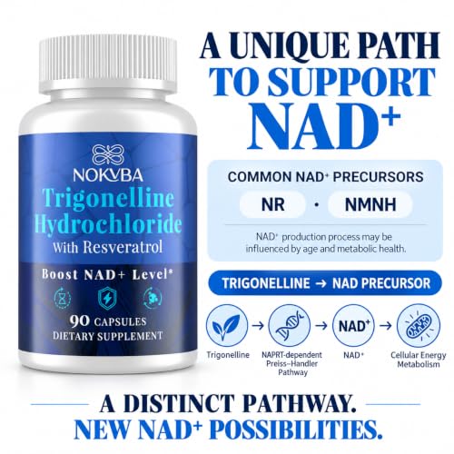 Nokvba Trigonelline NAD Supplement